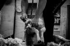 Sheep Shearing British Record 2022